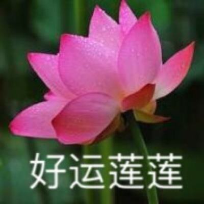华体电竞官网首页截图0